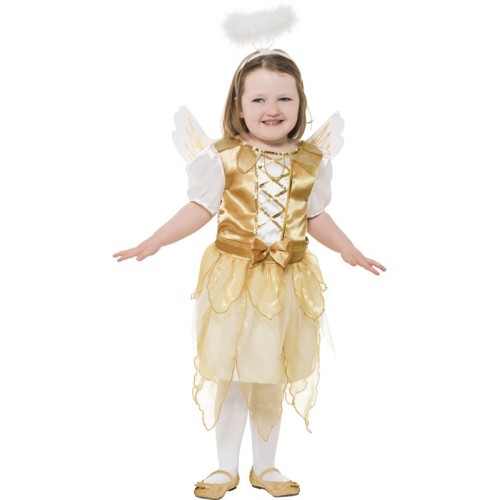 Angel Fairy costume