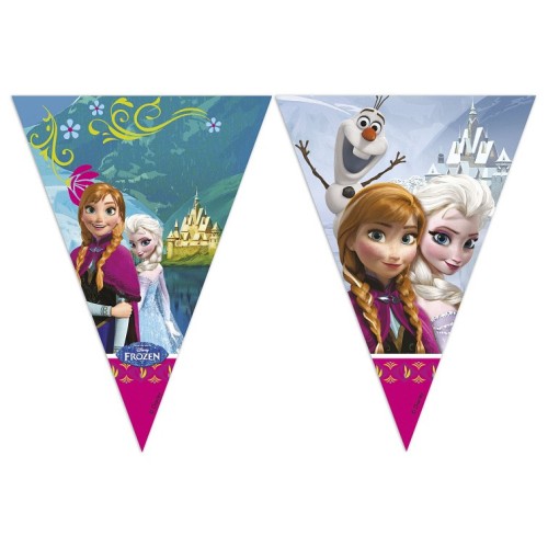 Frozen flag banner