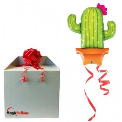 Potted cactus - foil balloon in a package