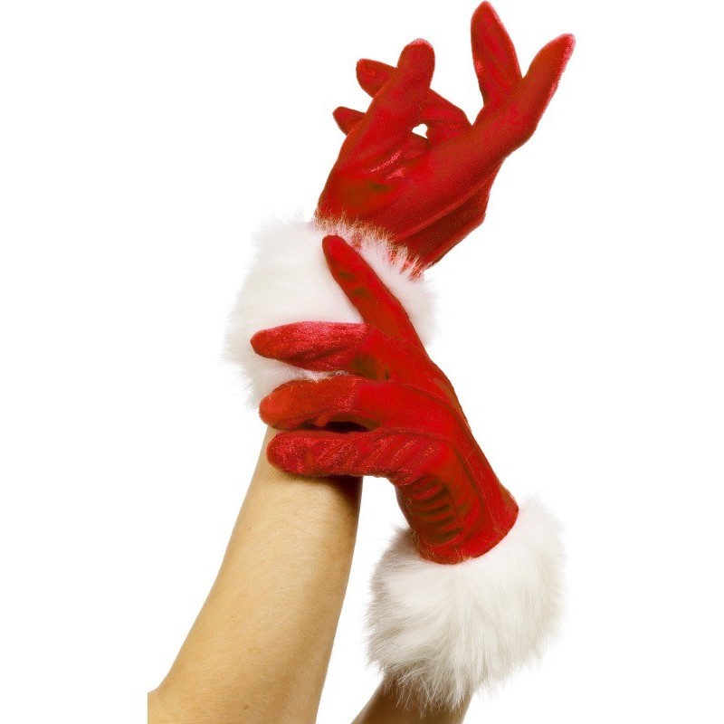 Santa gloves-long