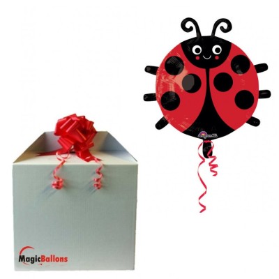 Ladybug - foil balloon in a package