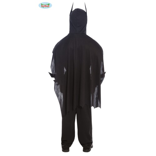 Bat Hero costume