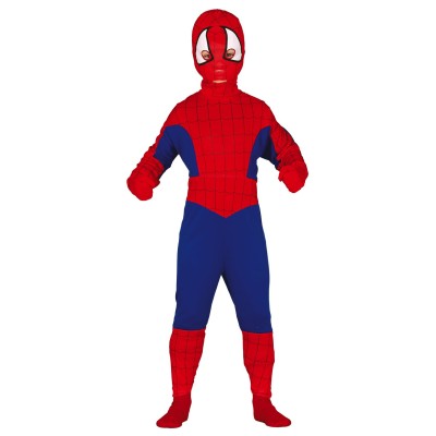 Spiderboy costume