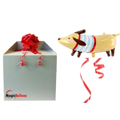 Dachshund - foil balloon in a package