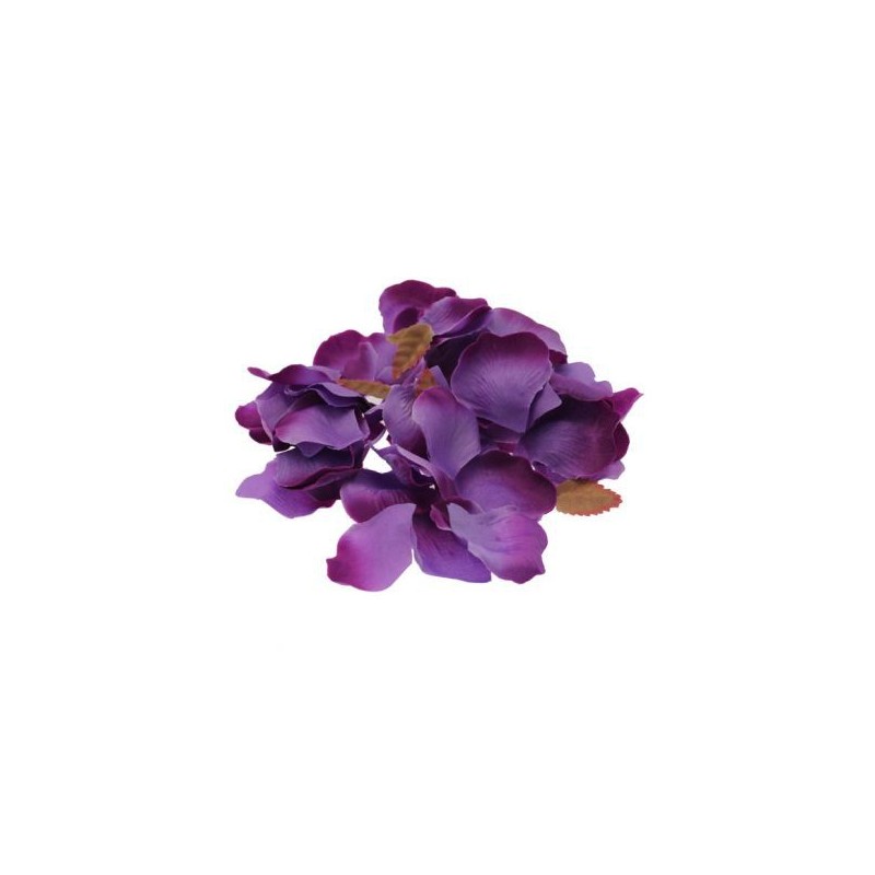 Purple rose petals